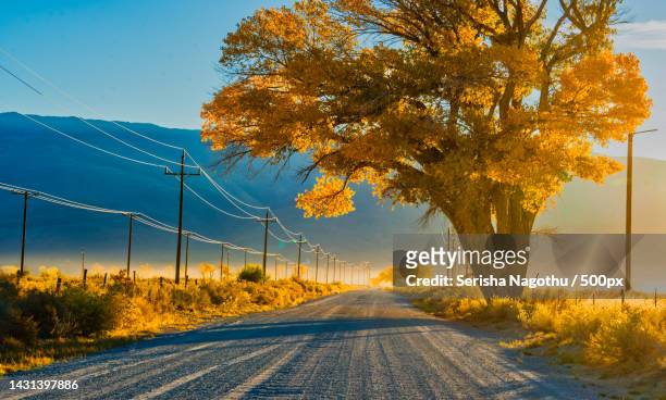 empty road amidst trees against sky during autumn,kailahun,eastern province,sierra leone - sierra leone stock pictures, royalty-free photos & images