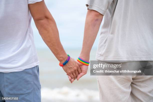 back view gay couple holding hands at the beach. - couple holding hands stock pictures, royalty-free photos & images