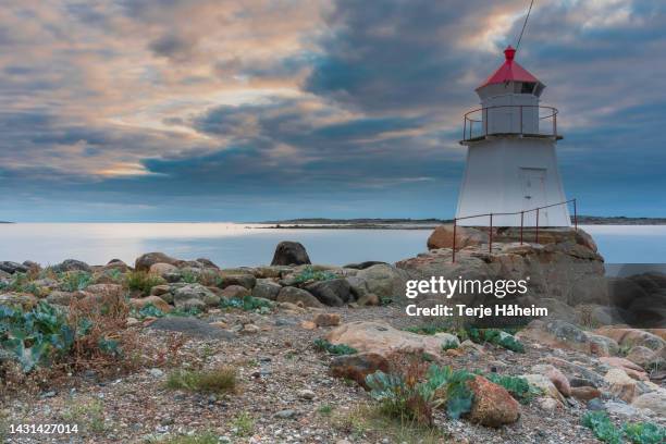 sunset by the sea - lighthouse reef stock pictures, royalty-free photos & images