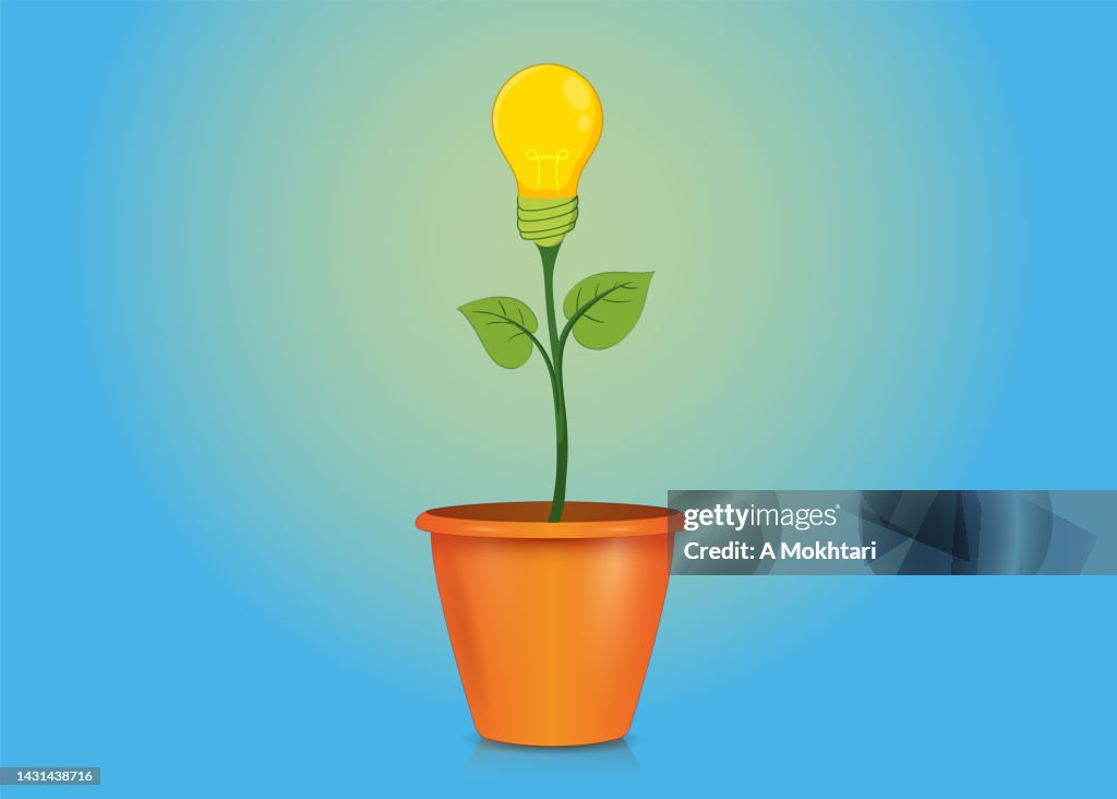Caring for and developing ideas, idea plant, lamp grows in a vase...