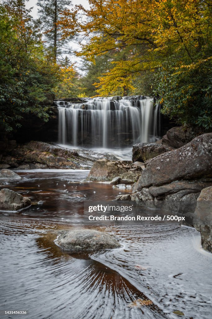 Scenic view of waterfall in forest during autumn,Tucker County,West Virginia,United States,USA