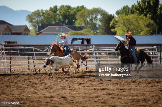 Cowhead Rodeo 1,221 Rodeo Team Roping Stock Photos, High-Res Pictures, and Images ...