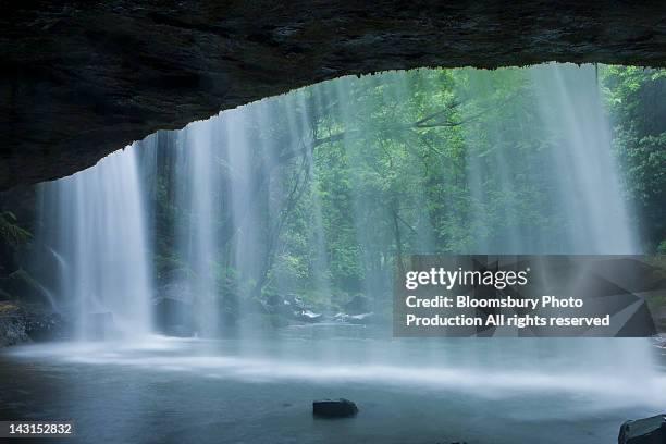 backside of waterfall - yamagata prefecture bildbanksfoton och bilder