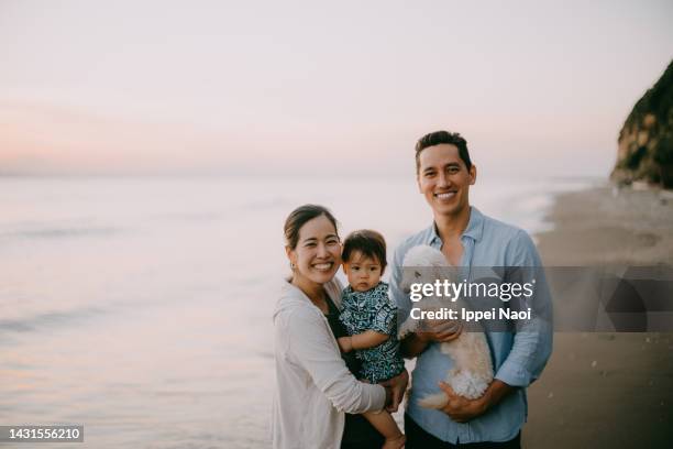 happy family with dog on beach at sunset - beautiful beach babes stock pictures, royalty-free photos & images