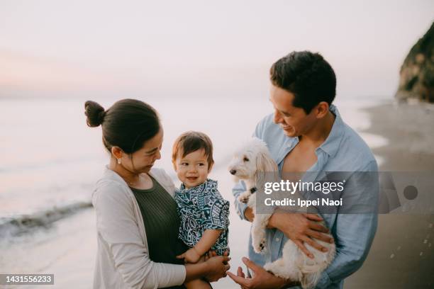 happy family with dog on beach at sunset - dad baby dog stock pictures, royalty-free photos & images