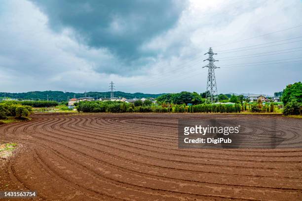 agricultural field in hidaka - views of mexico city 1 year after september 19th earthquake stockfoto's en -beelden