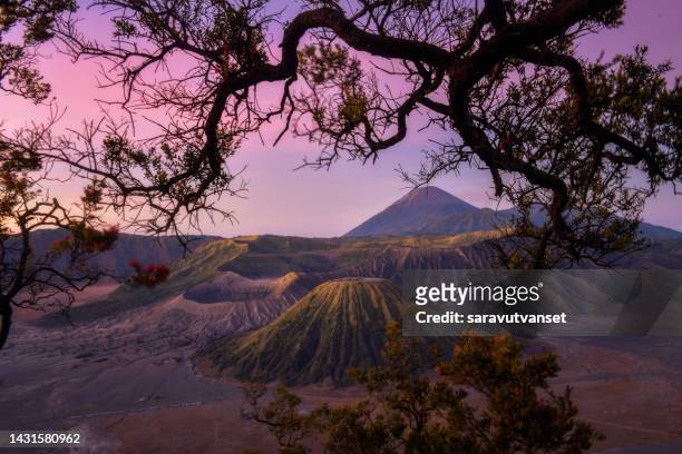 beautiful landscape of mount bromo during sunrise in bromo tengger semeru national park, east java, indonesia - bromo crater fotografías e imágenes de stock