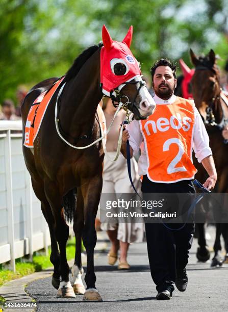 M Thunderstruck parades before Race 7, the Neds Might And Power, during Caulfield Guineas Day at Caulfield Racecourse on October 08, 2022 in...