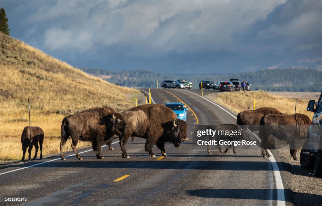 Yellowstone National Park Celebrates 150 Years