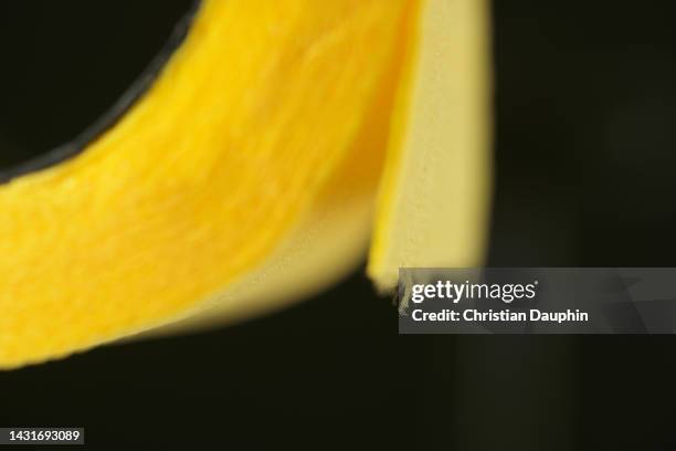 yellow toilet paper roll - jalousie couple stockfoto's en -beelden