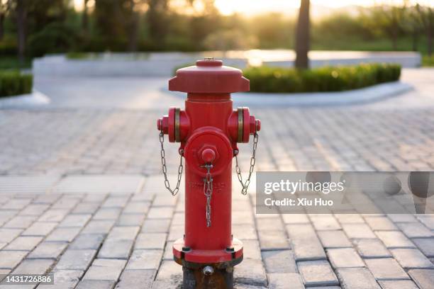 red fire hydrants on the side of the road - hydrant stock-fotos und bilder