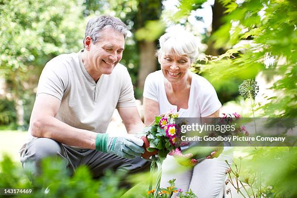 appreciating nature - couple gardening stock pictures, royalty-free photos & images