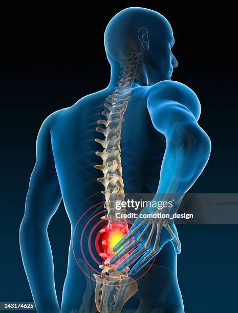 de espalda - columna vertebral humana fotografías e imágenes de stock