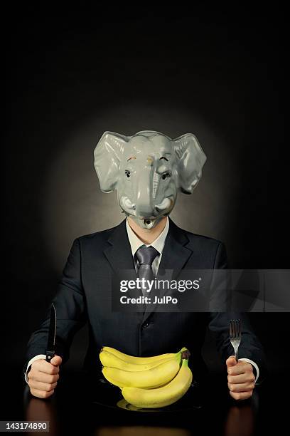 ready to eat - elephant on black stock pictures, royalty-free photos & images