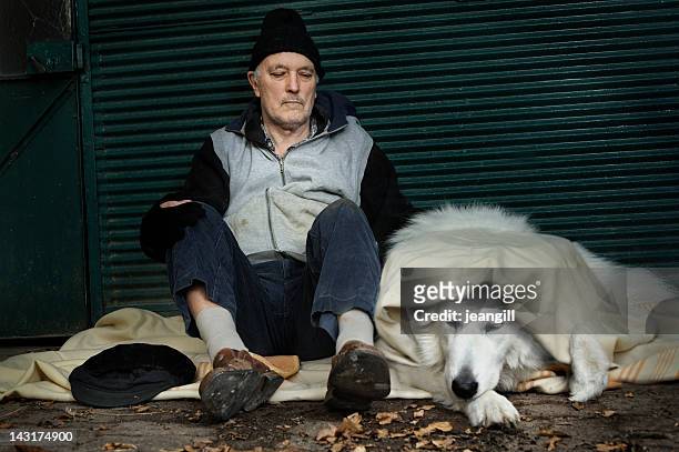 homeless man with his dog - homeless person stockfoto's en -beelden
