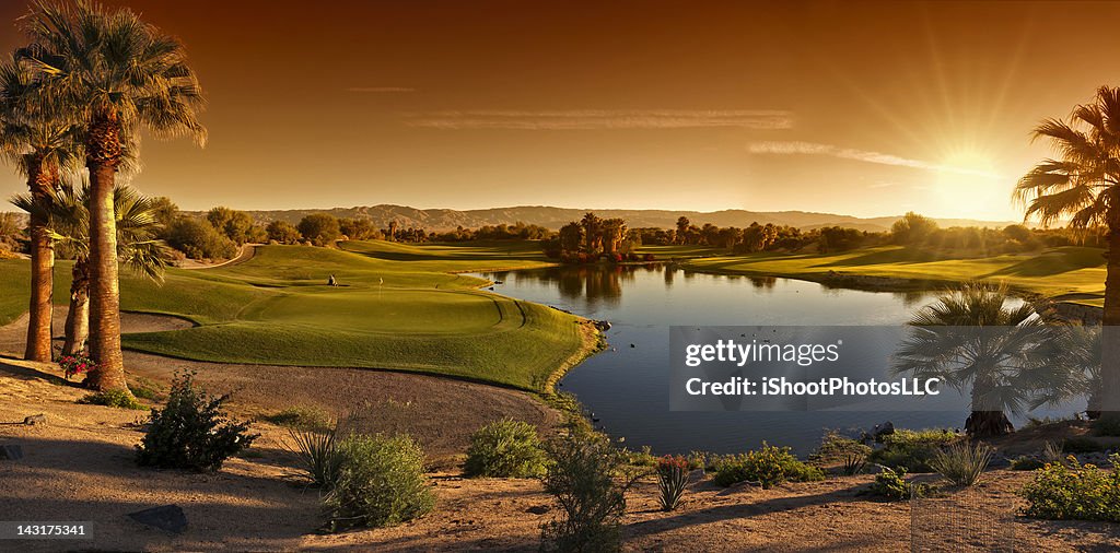 Palm Desert Golf Panorama Landscape