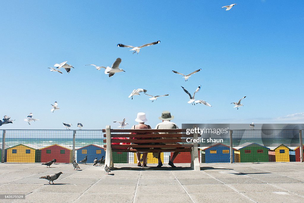 Lunch at the Beach