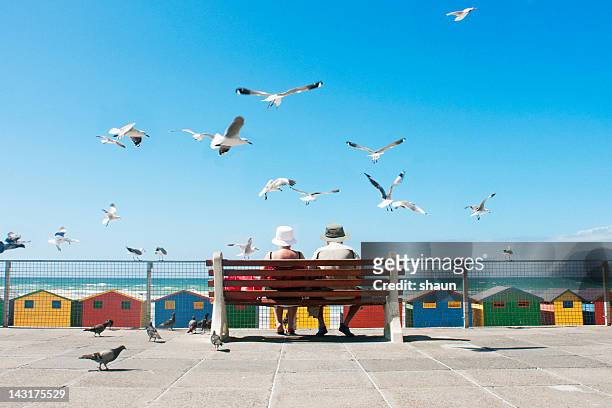lunch at the beach - south africa stock pictures, royalty-free photos & images
