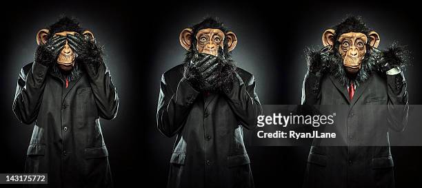 no evil - 3 wise monkeys stock pictures, royalty-free photos & images