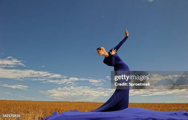 lady in large evening dress against sky landscape - haute couture dress stock pictures, royalty-free photos & images