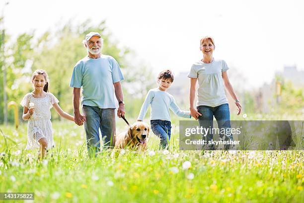 grands-parents et leurs petits-enfants dans le parc tenant les mains. - prairie dog photos et images de collection