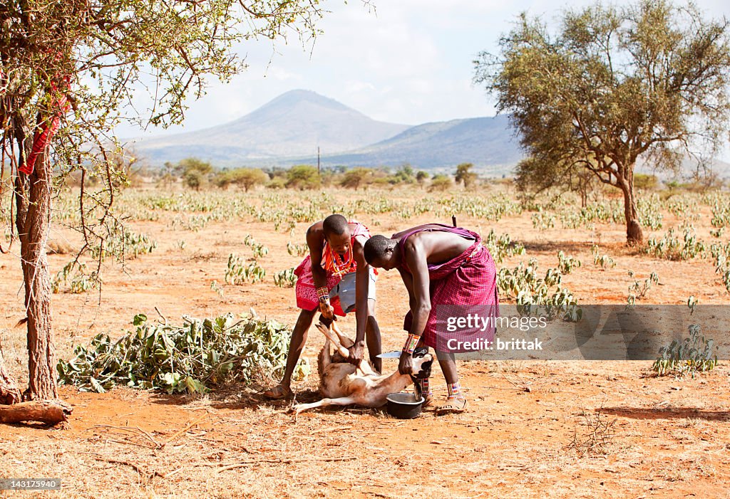 Two young masai ready to slaughter a goat.