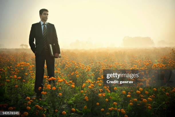 confident indian businessman with laptop standing in marigold farm field. - marigold stock pictures, royalty-free photos & images