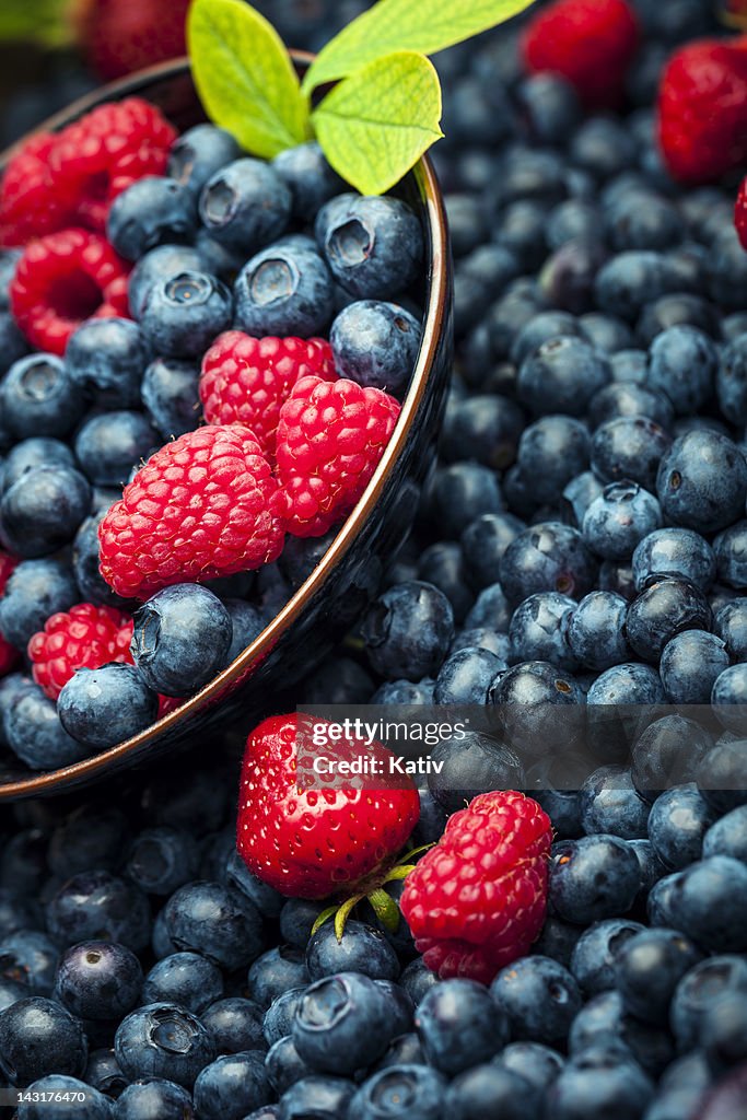 Fresh Summer Berries