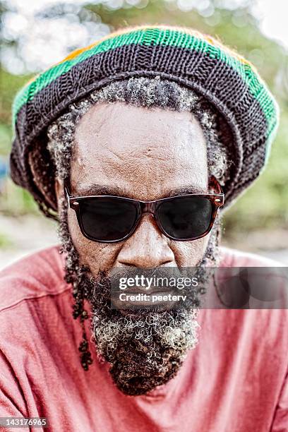 rastaman portrait. - dreadlocks stockfoto's en -beelden