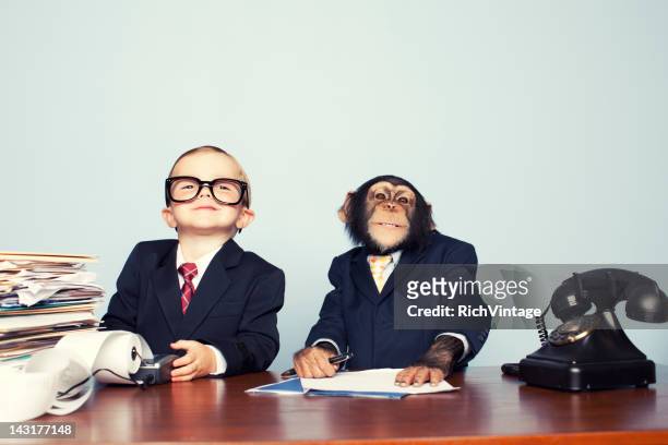 young business equipo - monkey wearing glasses fotografías e imágenes de stock
