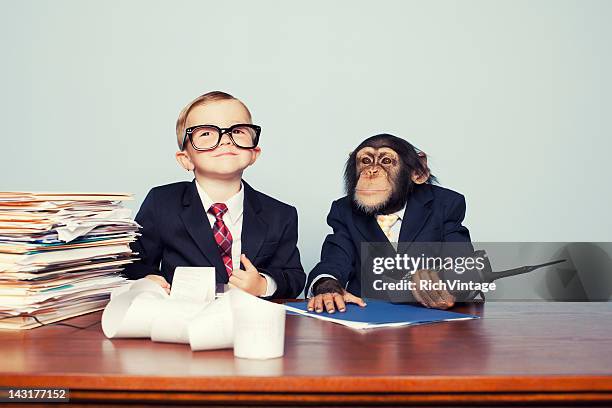 business team - office monkey stock pictures, royalty-free photos & images