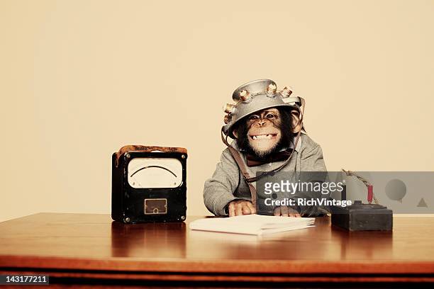 young chimpanzee nerd with mind reading helmet - ape stock pictures, royalty-free photos & images