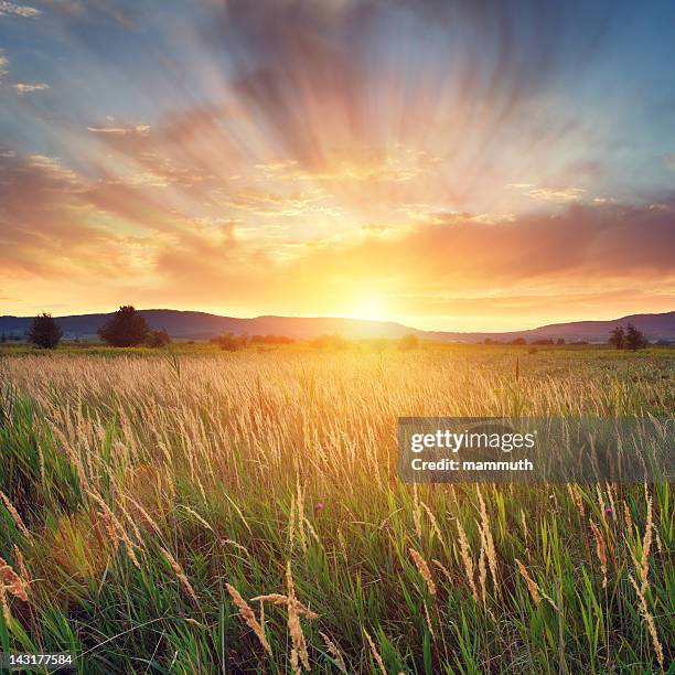 84,994 Beautiful Sun Rays Stock Photos, High-Res Pictures, and Images ...