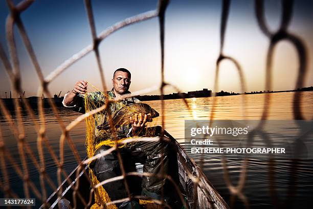 tangled fish - fishing tackle stock pictures, royalty-free photos & images