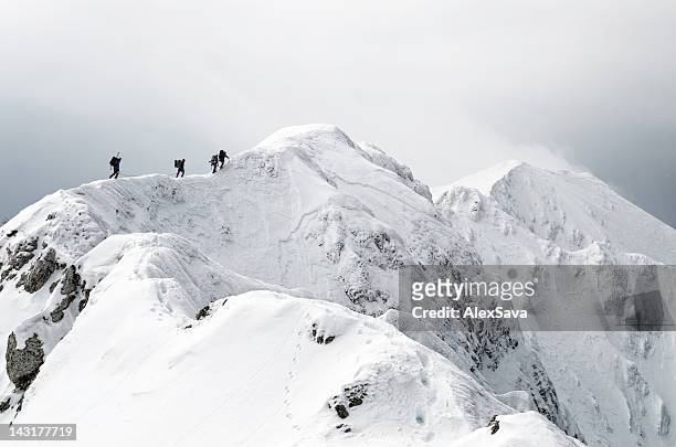 elevata altitudine alpinismo - four people foto e immagini stock