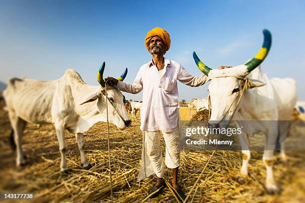 proud indian farmer portrait - farmer market stock pictures, royalty-free photos & images