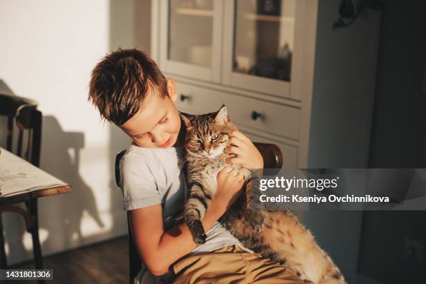 child playing with baby cat. kid holding black kitten. little boy snuggling cute pet animal sitting on white couch in sunny living room at home. kids play with pets. children and domestic animals. - cabrito - fotografias e filmes do acervo