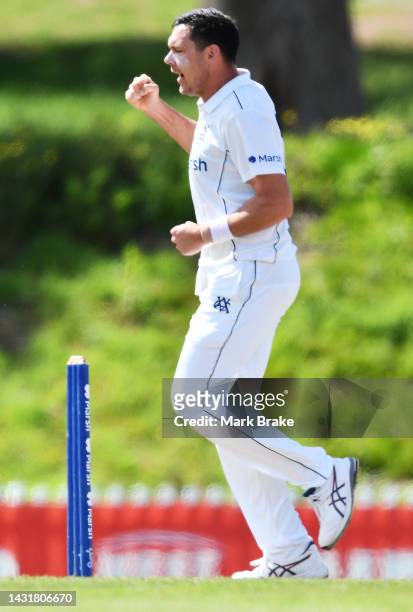 Scott Boland of the Bushrangers celebrates the wicket of Jake Weatherald of the Redbacks during the Sheffield Shield match between South Australia...