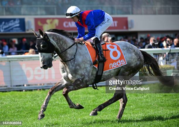 Damian Lane riding Benaud to the start of Race 7, the Neds Might And Power, during Caulfield Guineas Day at Caulfield Racecourse on October 08, 2022...