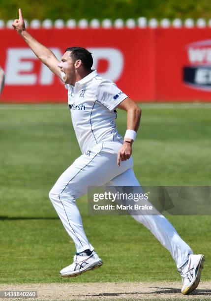 Scott Boland of the Bushrangers celebrates the wicket of Jake Lehmann of the Redbacks during the Sheffield Shield match between South Australia and...