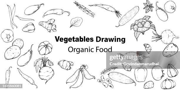 vector hand drawn vegetables icons set. decorative retro style collection farm product restaurant menu, market label. banners and template design. - drawing art product 幅插畫檔、美工圖案、卡通及圖標