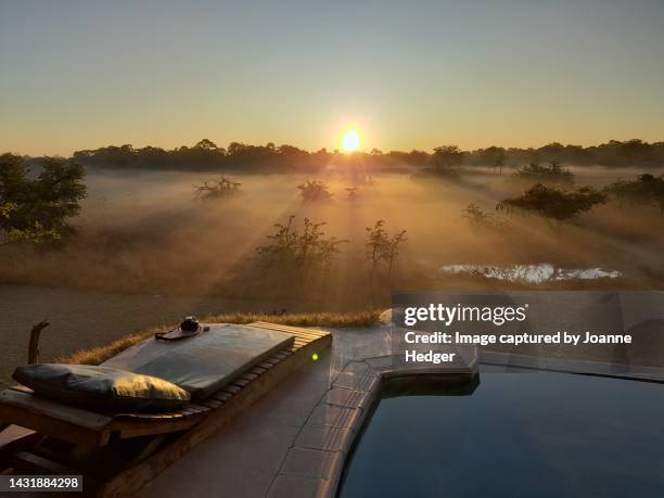 african sunrise at the safari camp swimming pool - safari lodge stock pictures, royalty-free photos & images
