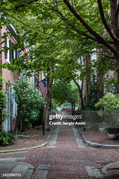 red-brick townhouses in a cobblestone street in downtown philadelphia - philadelphia townhouse homes stockfoto's en -beelden