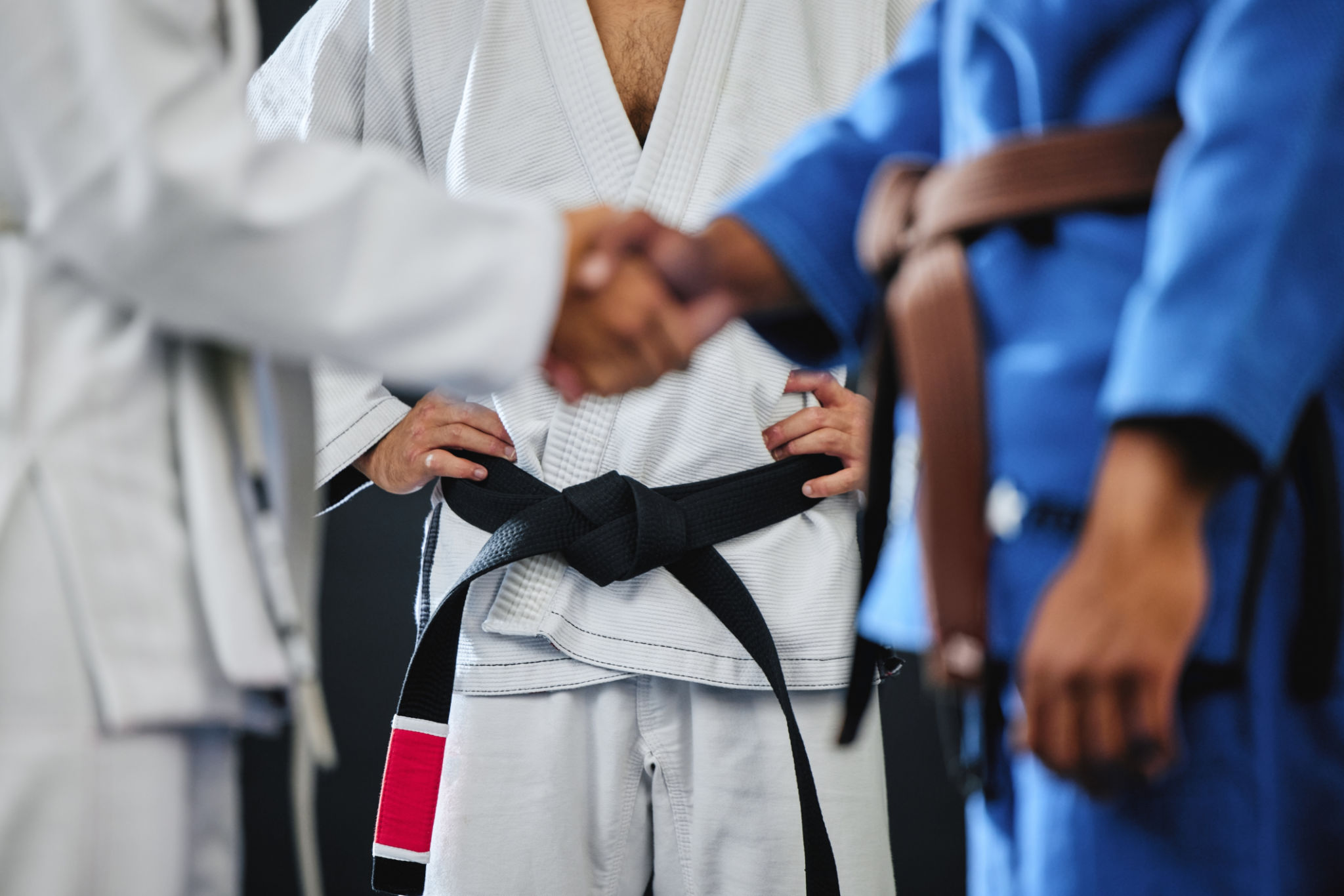 teamwork martial arts