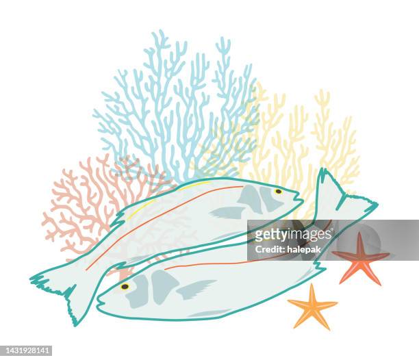 ilustraciones, imágenes clip art, dibujos animados e iconos de stock de pescado y coral - restaurant logo
