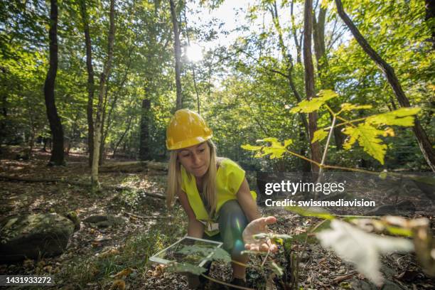 wissenschaftlerin erforscht und analysiert den wald - waldarbeiter stock-fotos und bilder