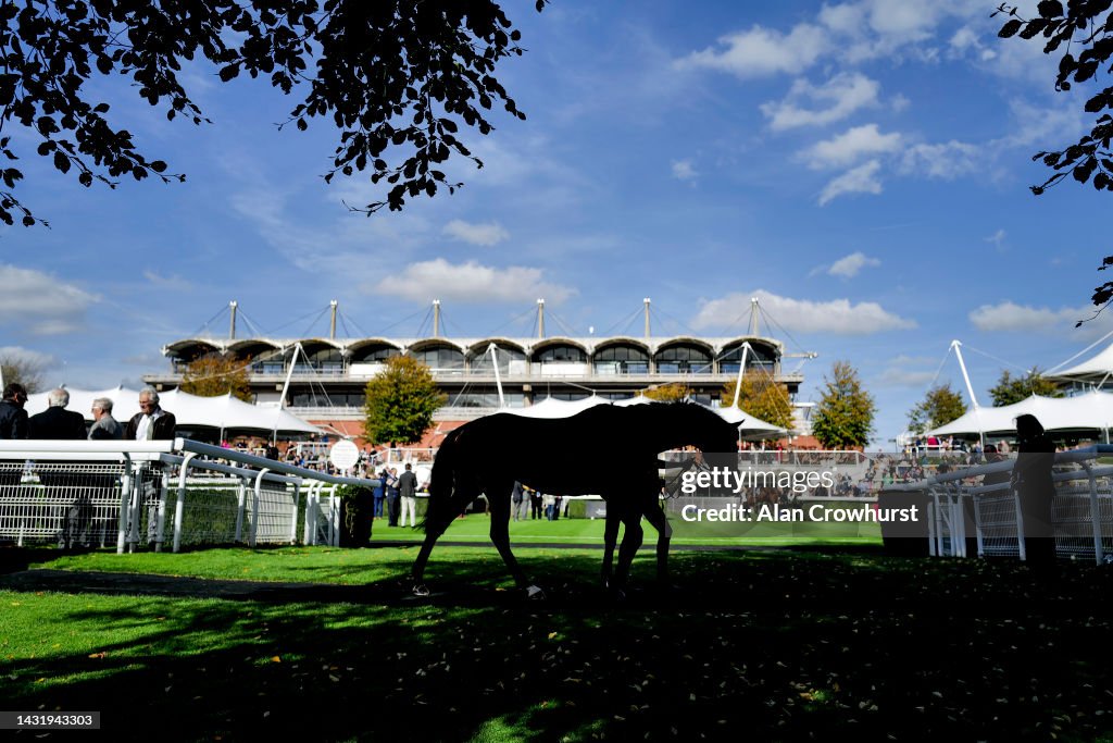Goodwood Races