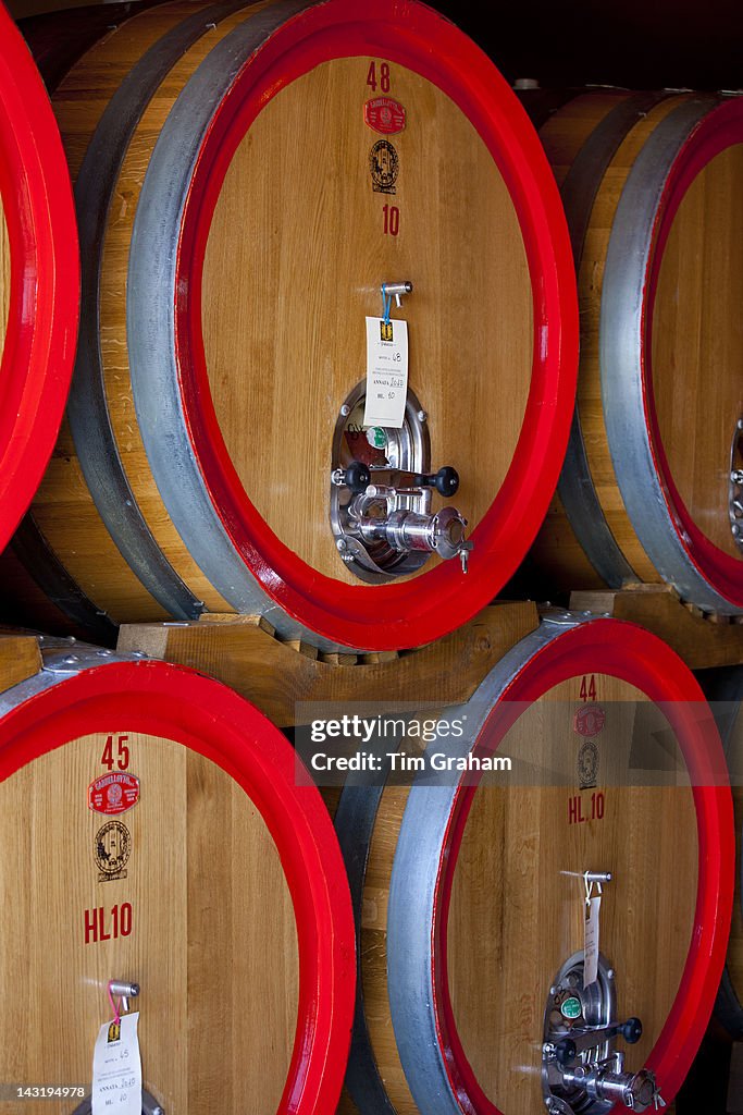 Brunello Wine in Barrels, Val D'Orcia, Tuscany, Italy