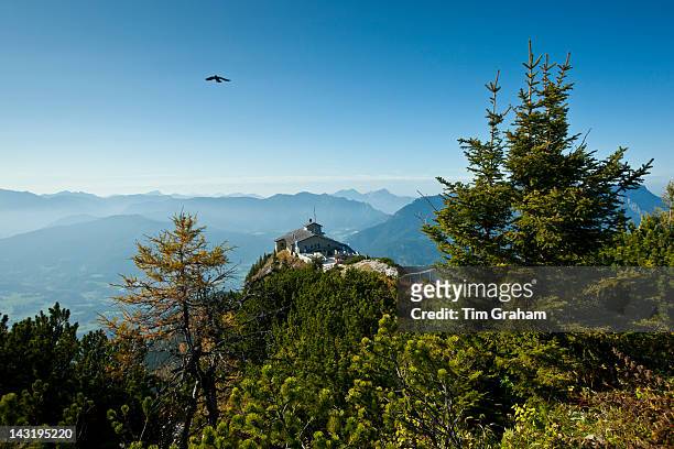 Crow flying over Eagle's Nest, Kehlsteinhaus, Hitler's lair at Berchtesgaden in the Bavarian Alps, Germany