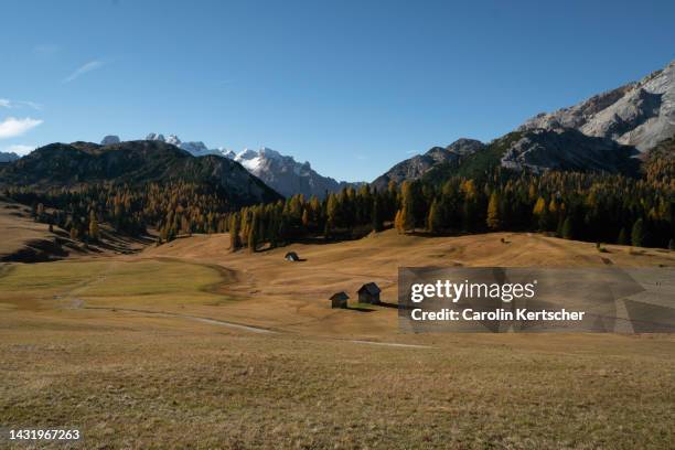 high alp in autumn with a view of the mountain massif | south tyrol, italy - alm hütte stock-fotos und bilder